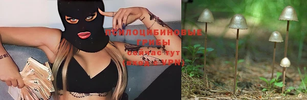 не бодяженный Бронницы
