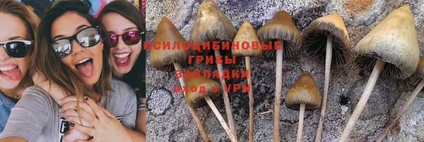 винт Верея