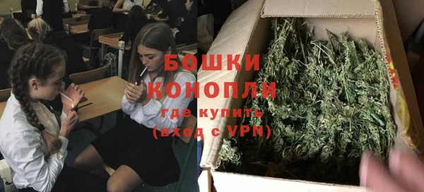 винт Верея